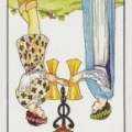 2 of Cups Rx