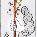 Ace of Wands