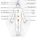 The Main Chakras